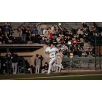 Tri-City Dust Devils first baseman Ryan Nicholson