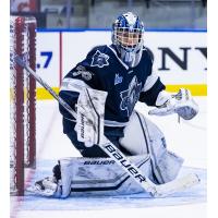 Rimouski Oceanic goaltender William Lacelle
