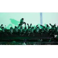 Texas Stars celebrate win