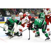 Texas Stars' Rémi Poirier and Michael Karow battle Grand Rapids Griffins' Dominik Shine